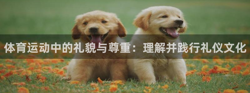 熊猫体育公园：体育运动中的礼貌与尊重：理解并践行礼仪文化