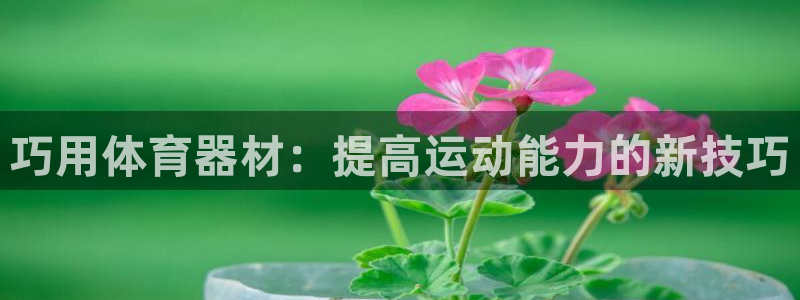 熊猫体育app官方下载最新版：巧用体育器材：提高运动能力的新技巧