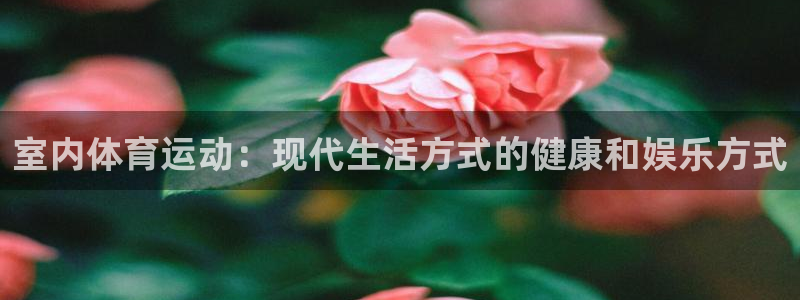 成都金熊猫体育：室内体育运动：现代生活方式的健康和娱乐方式