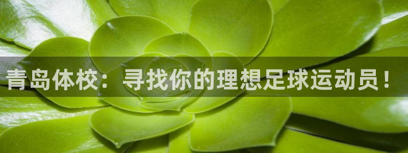 熊猫体育直播nba：青岛体校：寻找你的理想足球运动员！