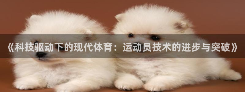 动感熊猫体育公园：《科技驱动下的现代体育：运动员技术的进步与突破》