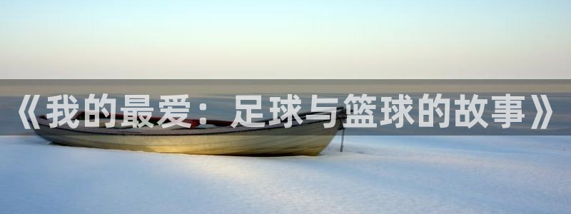 熊猫体育官网：《我的最爱：足球与篮球的故事》