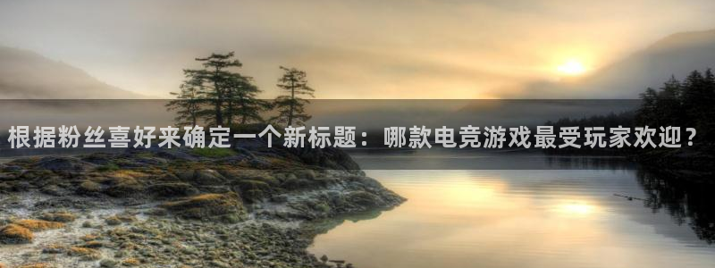 熊猫体育nba：根据粉丝喜好来确定一个新标题：哪款电竞游戏最受玩家欢迎？