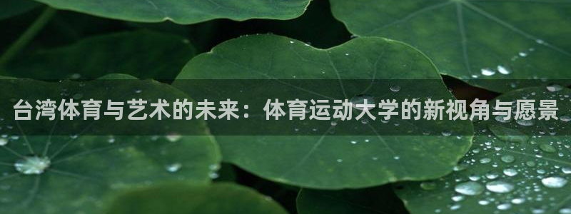 熊猫体育直播：台湾体育与艺术的未来：体育运动大学的新视角与愿景