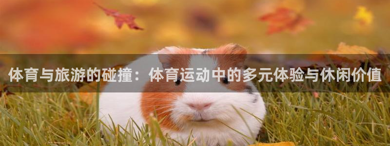 熊猫体育公园价格：体育与旅游的碰撞：体育运动中的多元体验与休闲价值