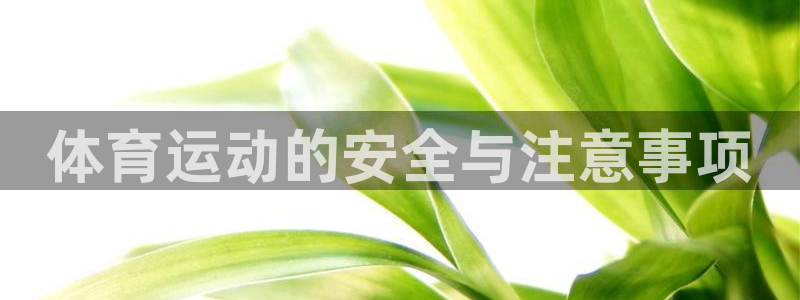 熊猫体育文化有限公司：体育运动的安全与注意事项